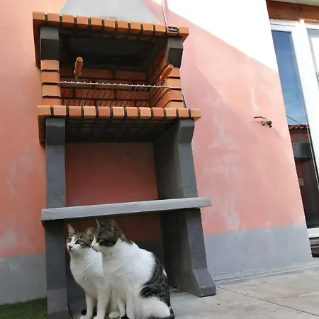 Casa Do Patio Дом отдыха А-душ-Куньядуш